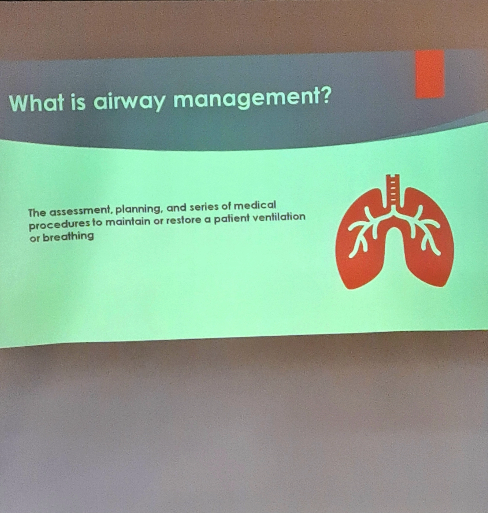 Adnan Begovic slika 4